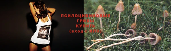 твердый Володарск