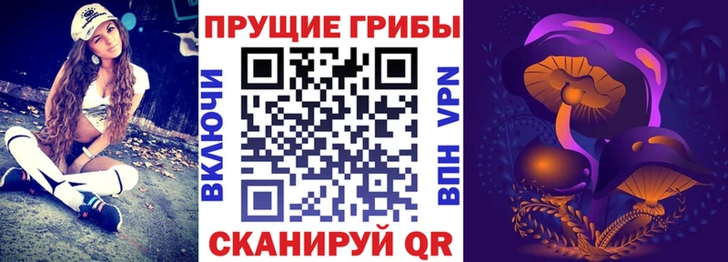 закладка  Каменка  Псилоцибиновые грибы Magic Shrooms 